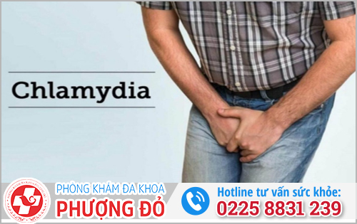 Dương vật chảy mủ là bệnh Chlamydia