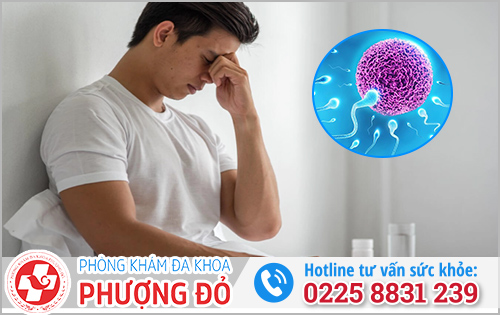 Dương vật chảy mủ ảnh hưởng đến vấn đề sinh sản