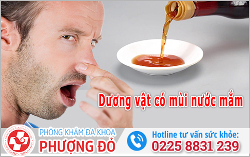 Dương vật có mùi nước mắm