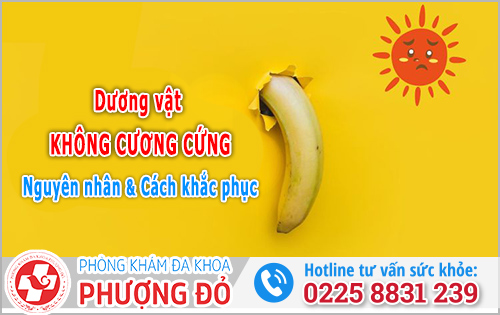 Dương vật không cương cứng
