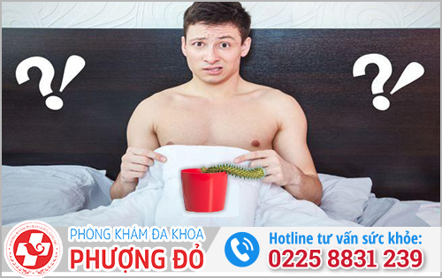 Cậu nhỏ không cương vào buổi sáng