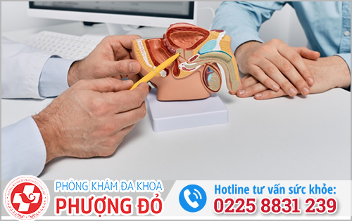 Khắc phục dương vật không cương vào buổi sáng