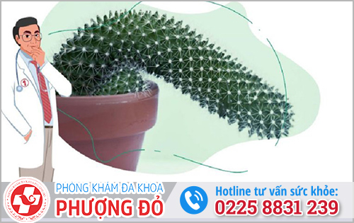 Bị liệt dương có chữa được không?