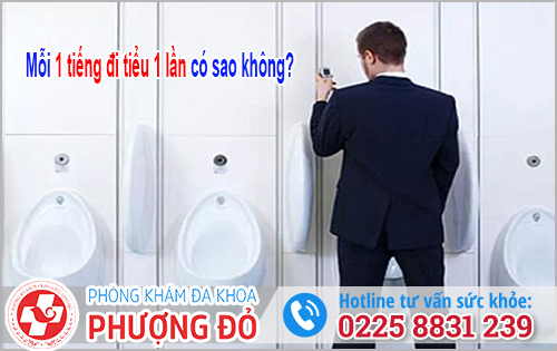 1 tiếng đi tiểu 1 lần có sao không?