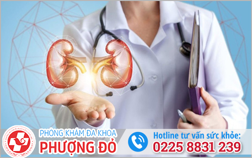 Cách cải thiện 1 tiếng đi tiểu 1 lần