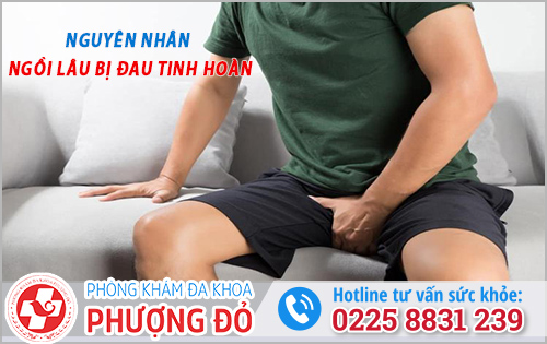 Ngồi lâu bị đau tinh hoàn 