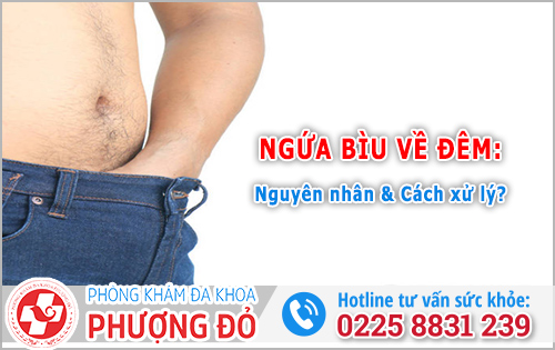 Hiện tượng ngứa bìu về đêm