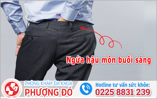 Nguyên nhân ngứa hậu môn buổi sáng