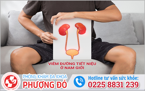 Nguyên nhân gây viêm đường tiết niệu ở nam giới