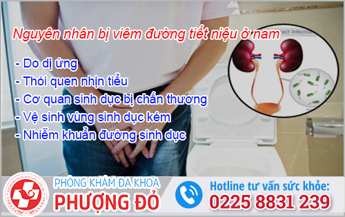 Nguyên nhân bị viêm đường tiết niệu ở nam giới