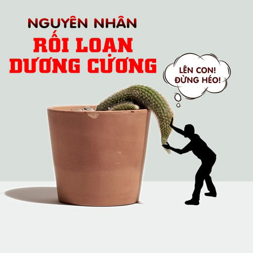 6 nguyên nhân gây rối loạn cương dương chủ đạo và cách điều trị