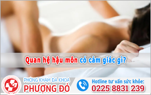 Quan hệ hậu môn có cảm giác gì? 