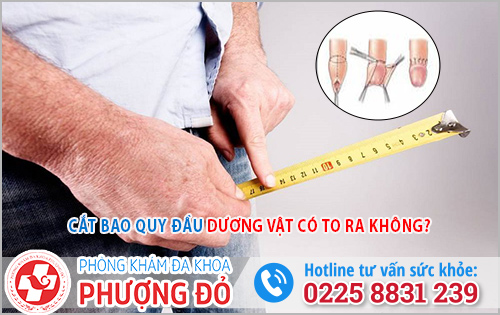 Sau khi cắt bao quy đầu dương vật có to ra không?