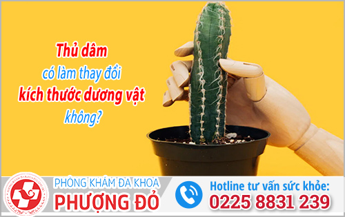 Thủ dâm có làm thay đổi kích thước dương vật không?