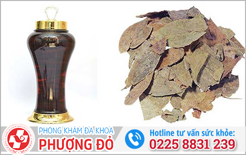 Cải thiện sinh lý với bài thuốc rượu dâm dương hoắc