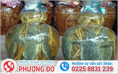 Cải thiện vấn đề xuất tinh với bài thuốc rượu tắc kè ngâm