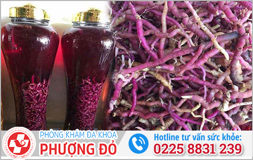 Rượu tăng cường sinh lý ba kích