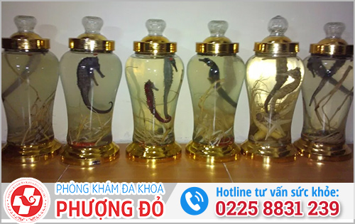 Rượu hải mã hỗ trợ sinh lý cho nam giới