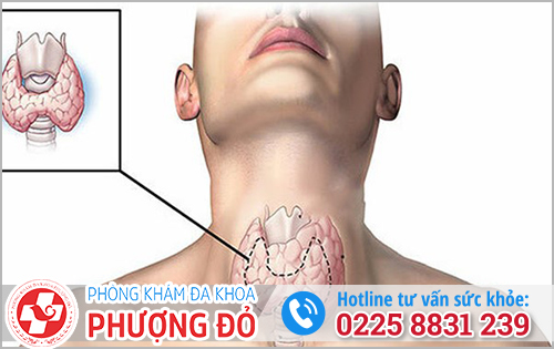 Tiểu buốt và ngứa ở nam giới có thể là bệnh suy giáp