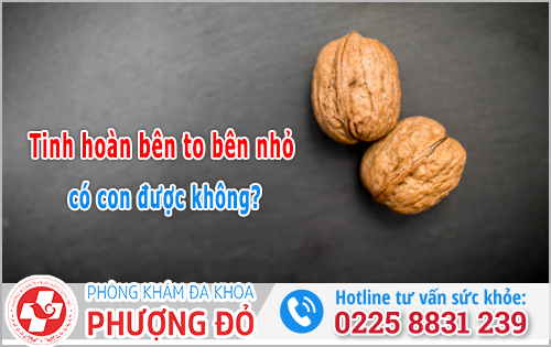 Tinh hoàn bên to bên nhỏ có con được không?