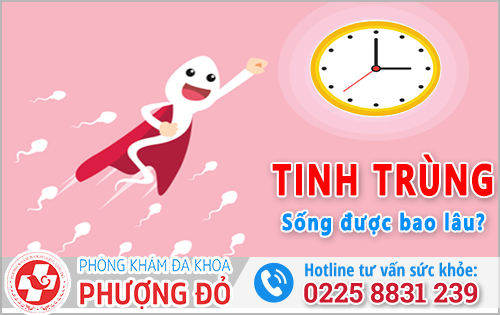 Tinh trùng sống được bao lâu?