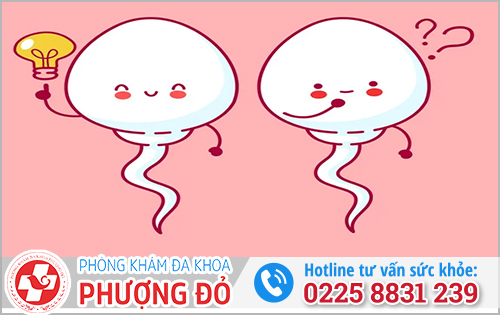Làm gì để nâng cao chất lượng tinh trùng?