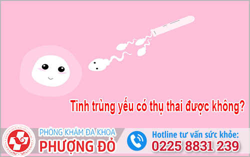 Tinh trùng yếu có thụ thai được không?