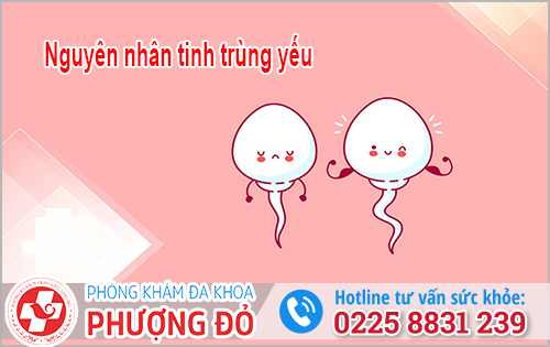 Tinh trùng yếu có con tự nhiên được không?