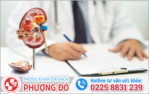 Điều trị viêm bàng quang và viêm đường tiết niệu 