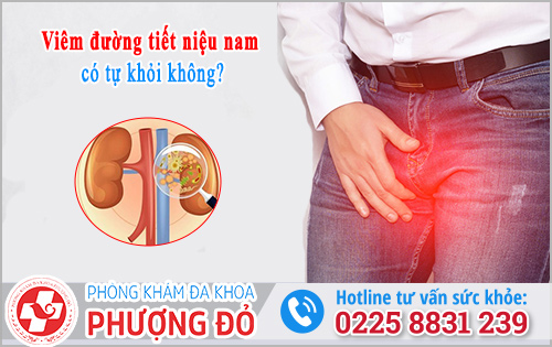 Viêm đường tiết niệu nam có tự khỏi không? 