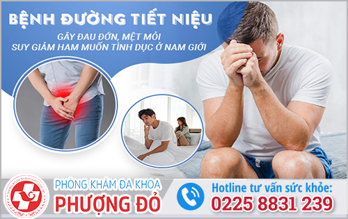 Viêm đường tiết niệu ở nam giới