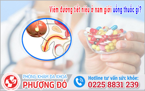 Viêm đường tiết niệu ở nam giới uống thuốc gì?