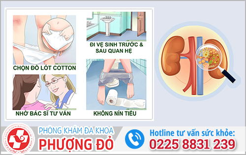 Phòng ngừa bệnh viêm đường tiết niệu tái đi tái lại nhiều lần