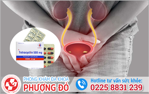 Viêm niệu đạo nam uống thuốc gì?