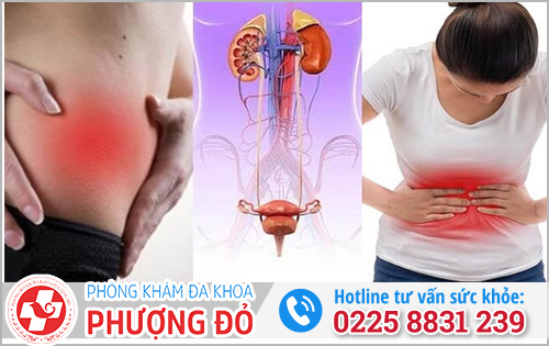 Viêm niệu đạo và viêm bàng quang khác nhau thế nào?