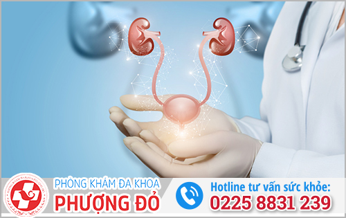 Viêm niệu đạo có phải viêm đường tiết niệu không?