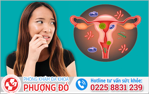 Nguyên nhân khiến vợ bị nấm âm đạo?