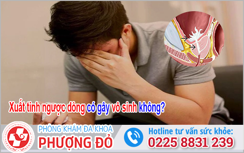 Xuất tinh ngược dòng có gây vô sinh không?