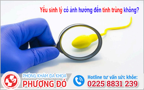 Yếu sinh lý có ảnh hưởng đến tinh trùng không?