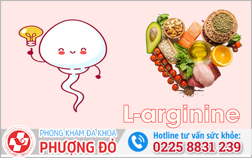 Thực phẩm tốt cho tinh trùng và trứng