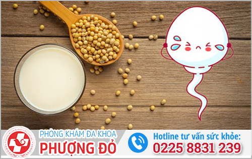 Thực phẩm không tốt cho tinh trùng