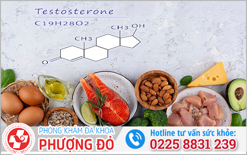 Thực phẩm làm tăng testosterone nam giới