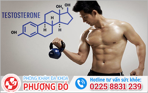 Cách bổ sung testosterone ngoài thực phẩm