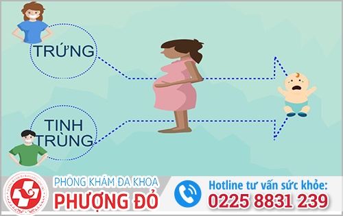 Điều kiện để mang thai