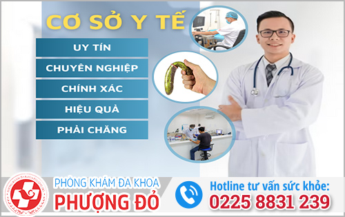 Phượng Đỏ - Phòng khám chữa yếu sinh lý nam giới Hải Phòng